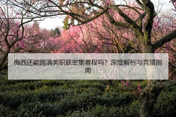 梅西还能踢满美职联密集赛程吗？深度解析与竞猜指南
