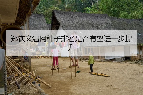郑钦文温网种子排名是否有望进一步提升